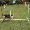 agility 2011-10-30